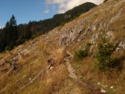 2013-10-08_Guffert (026).JPG